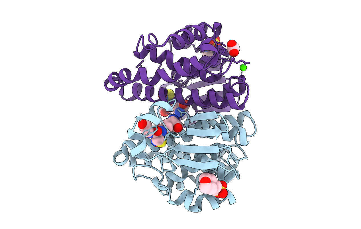 2A2R image