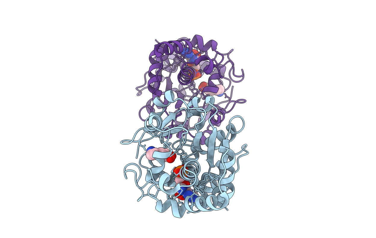 2A3R image