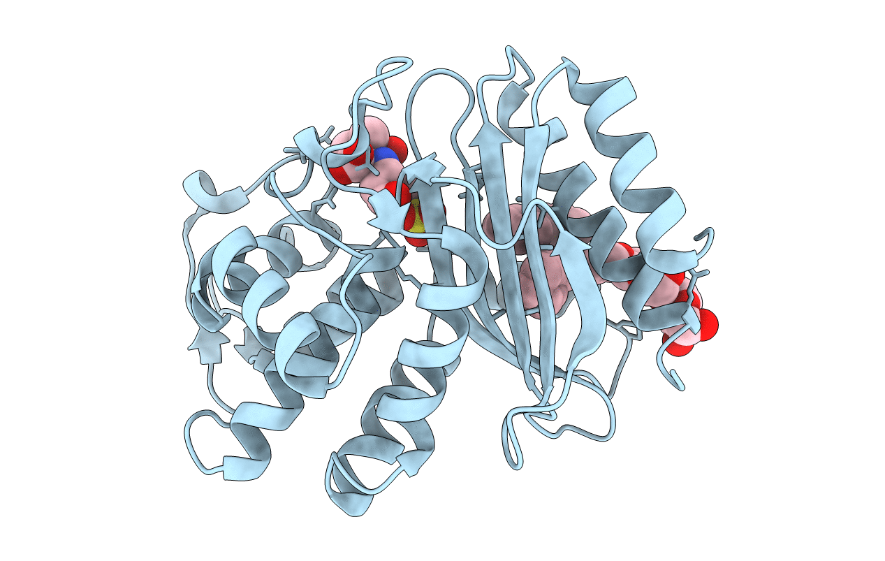 2A3U image