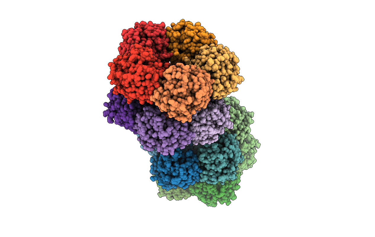 2A3W image
