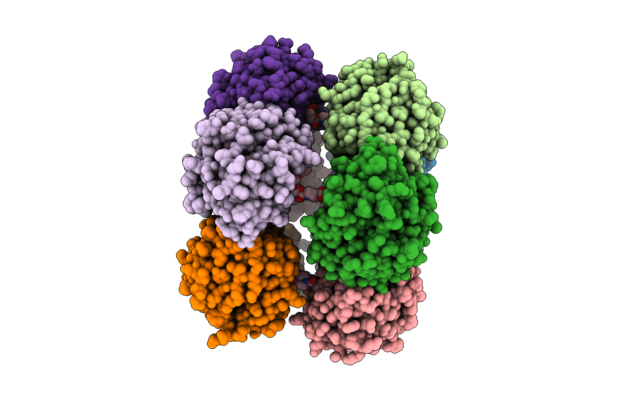2A3X image
