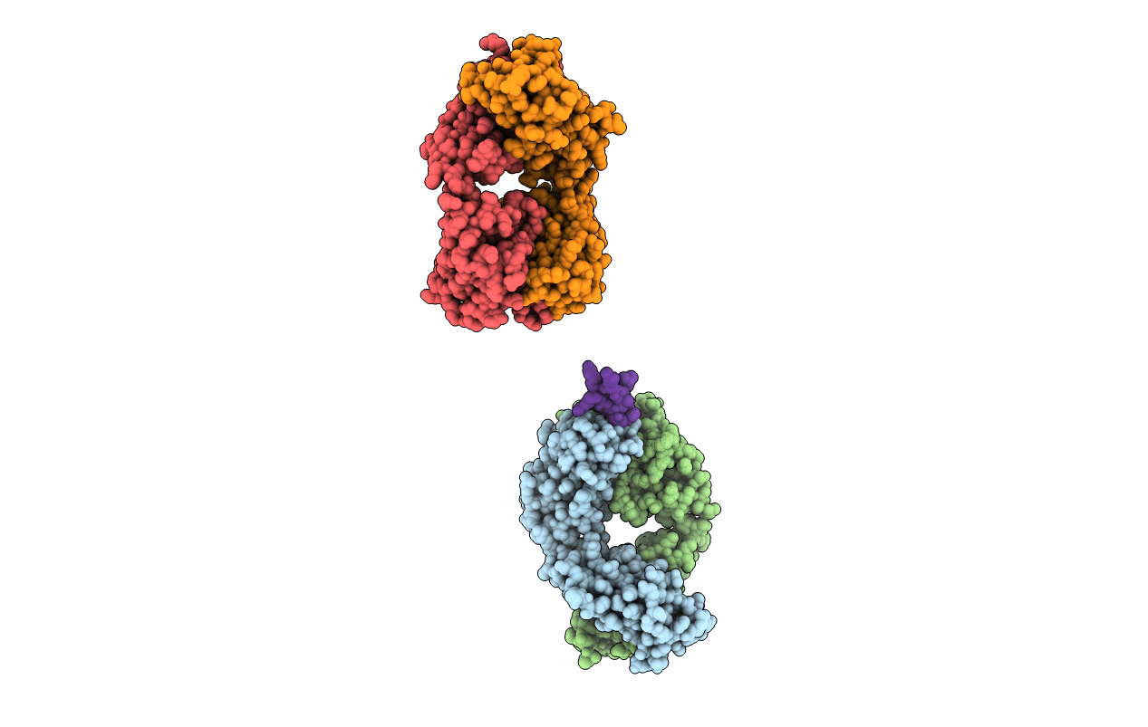 2A6D image