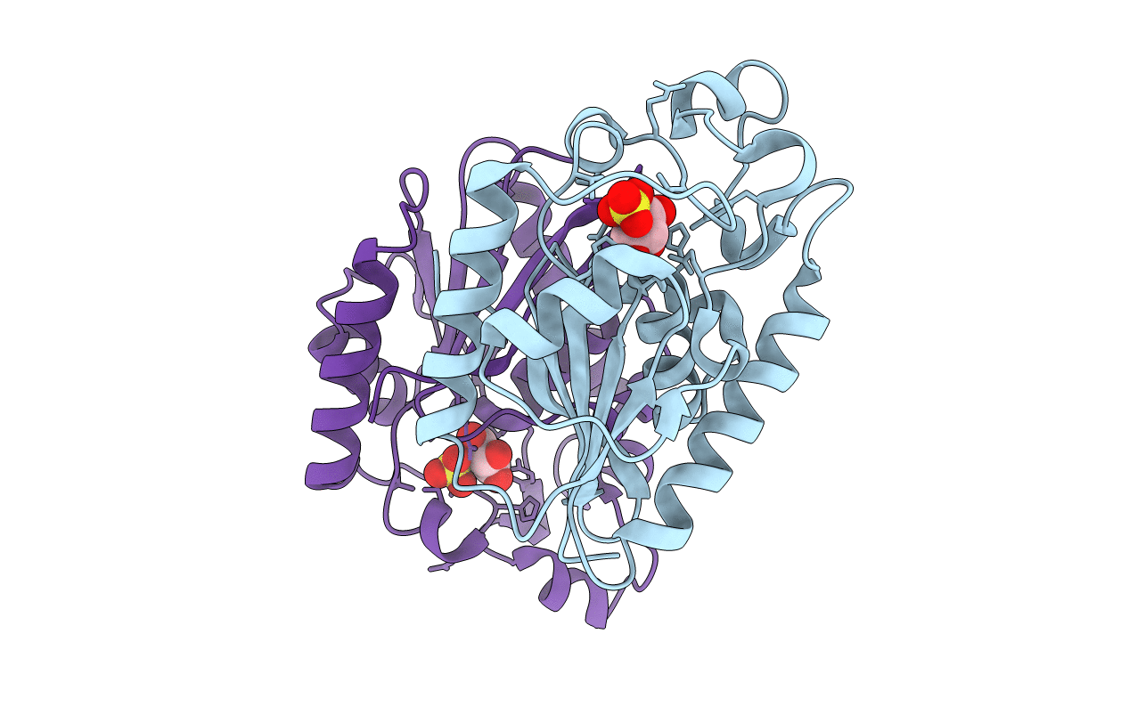 2A6P image