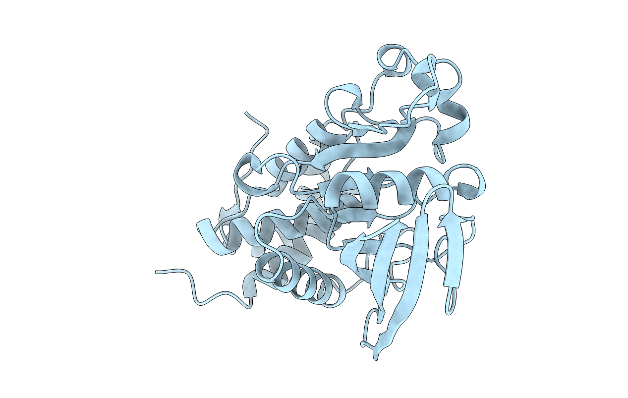 2A8B image