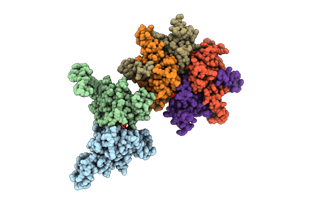 2A8C image