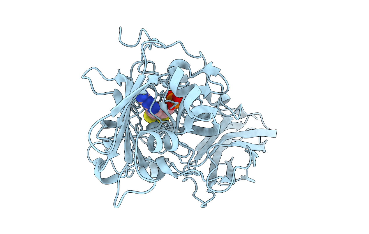 2A9B image