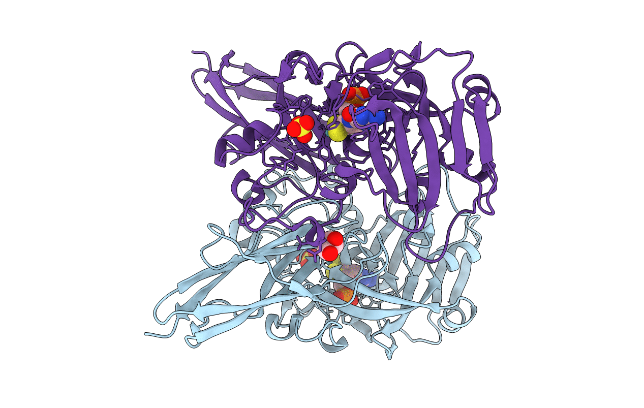 2A9C image