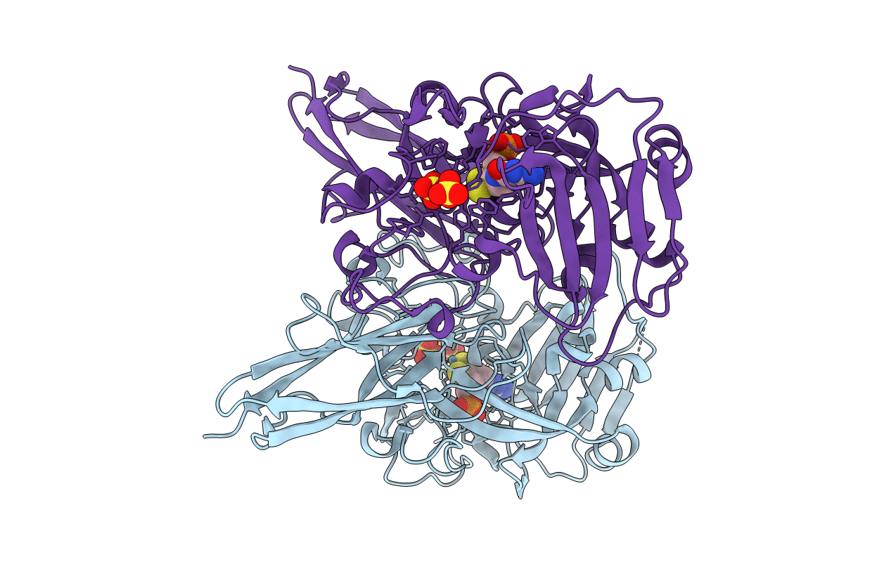 2A9D image