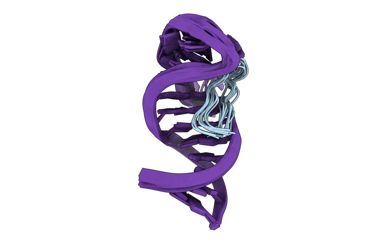 2A9X image