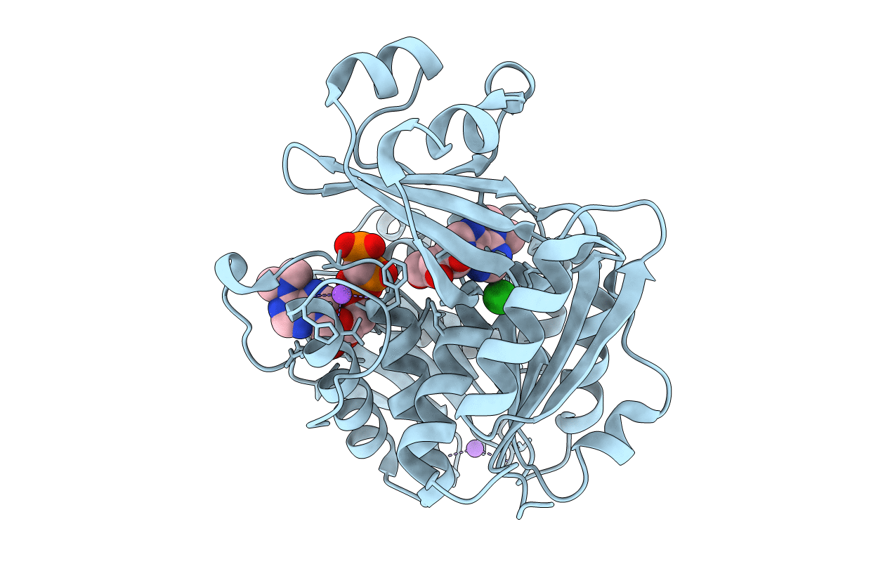 2A9Z image