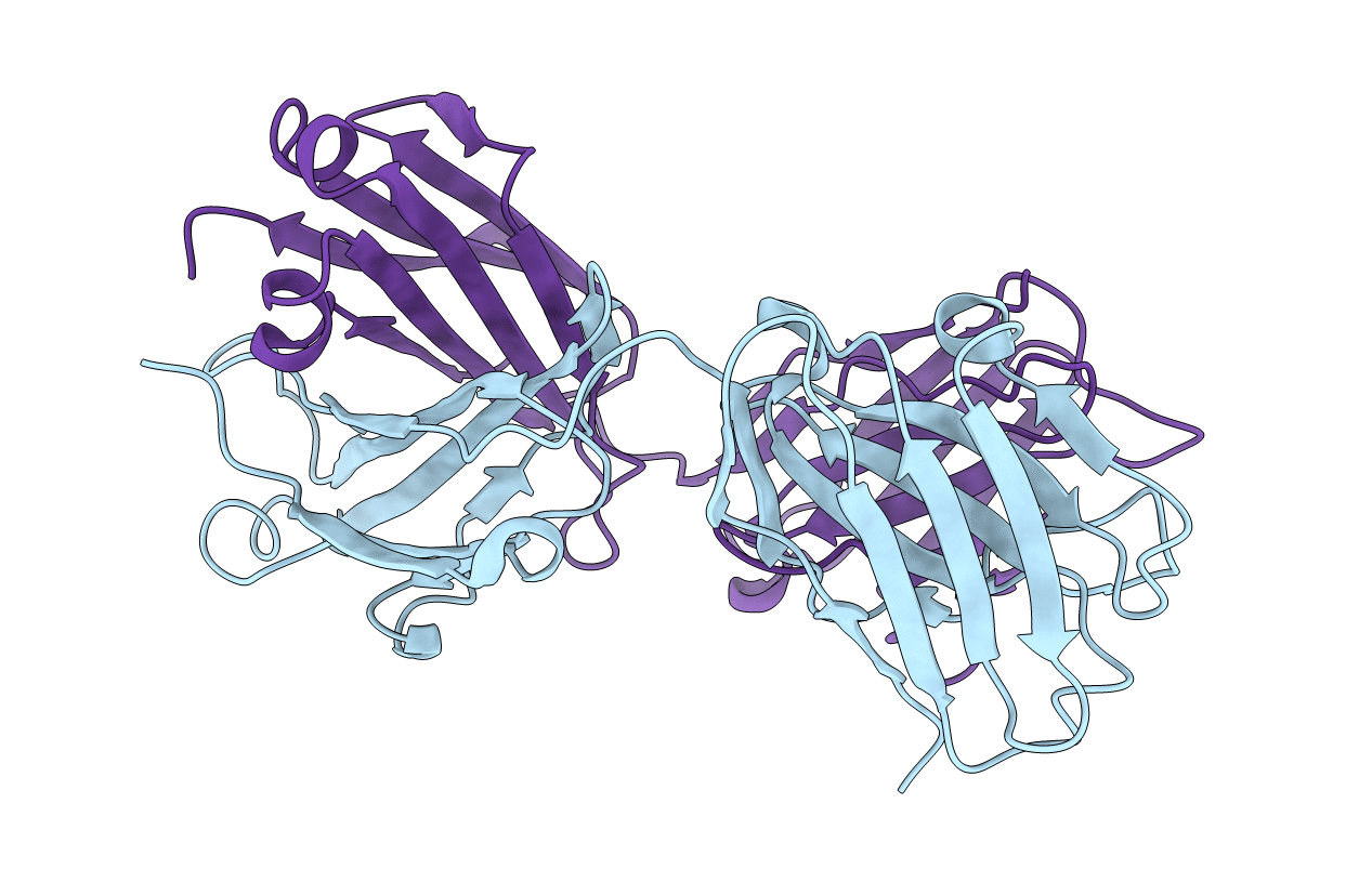 2AAB image