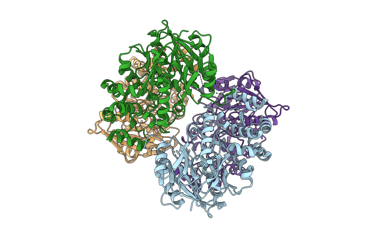2AAF image