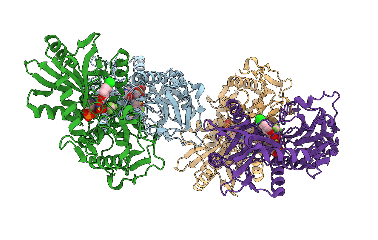 2ABJ image