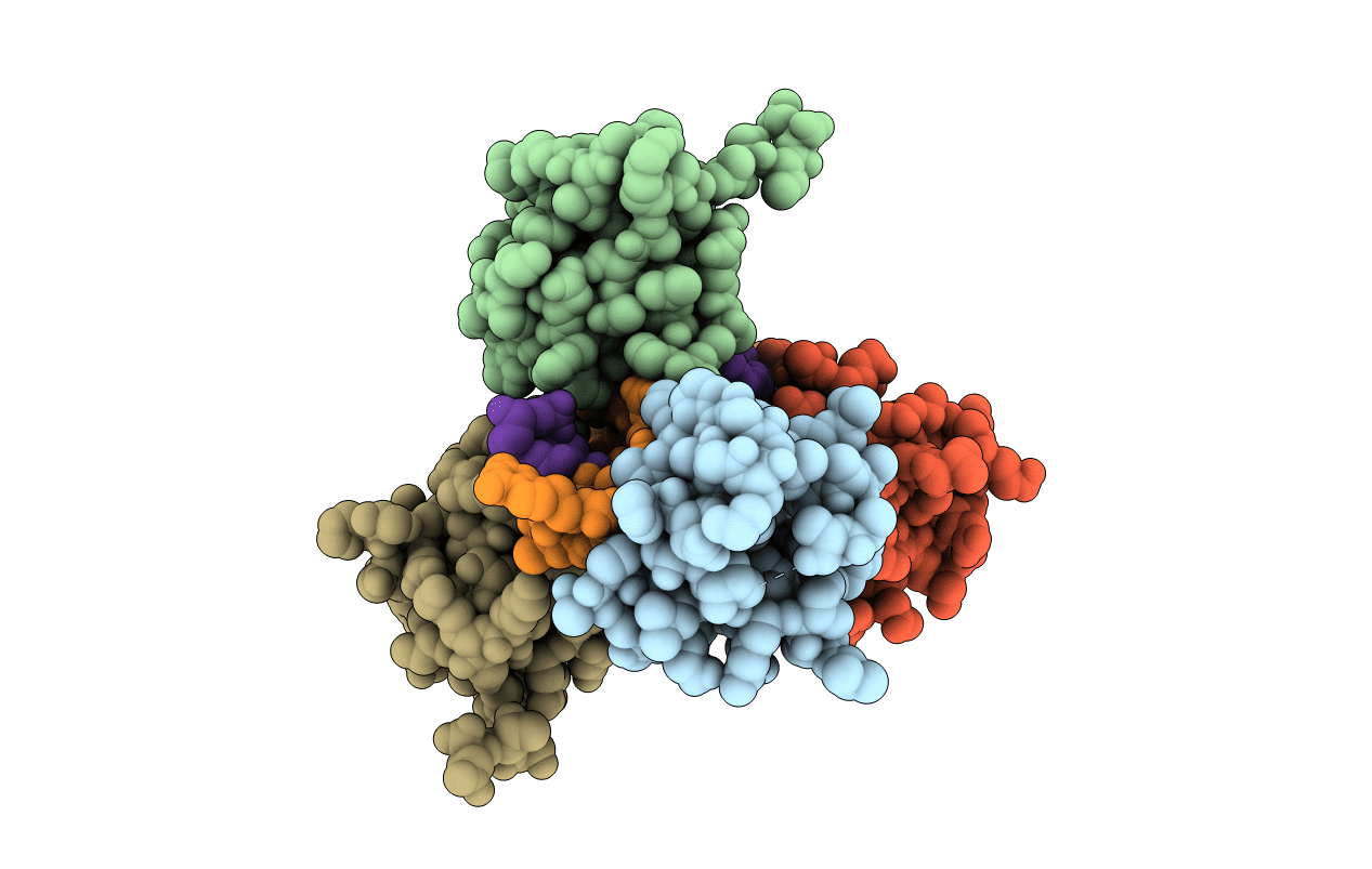 2ACJ image