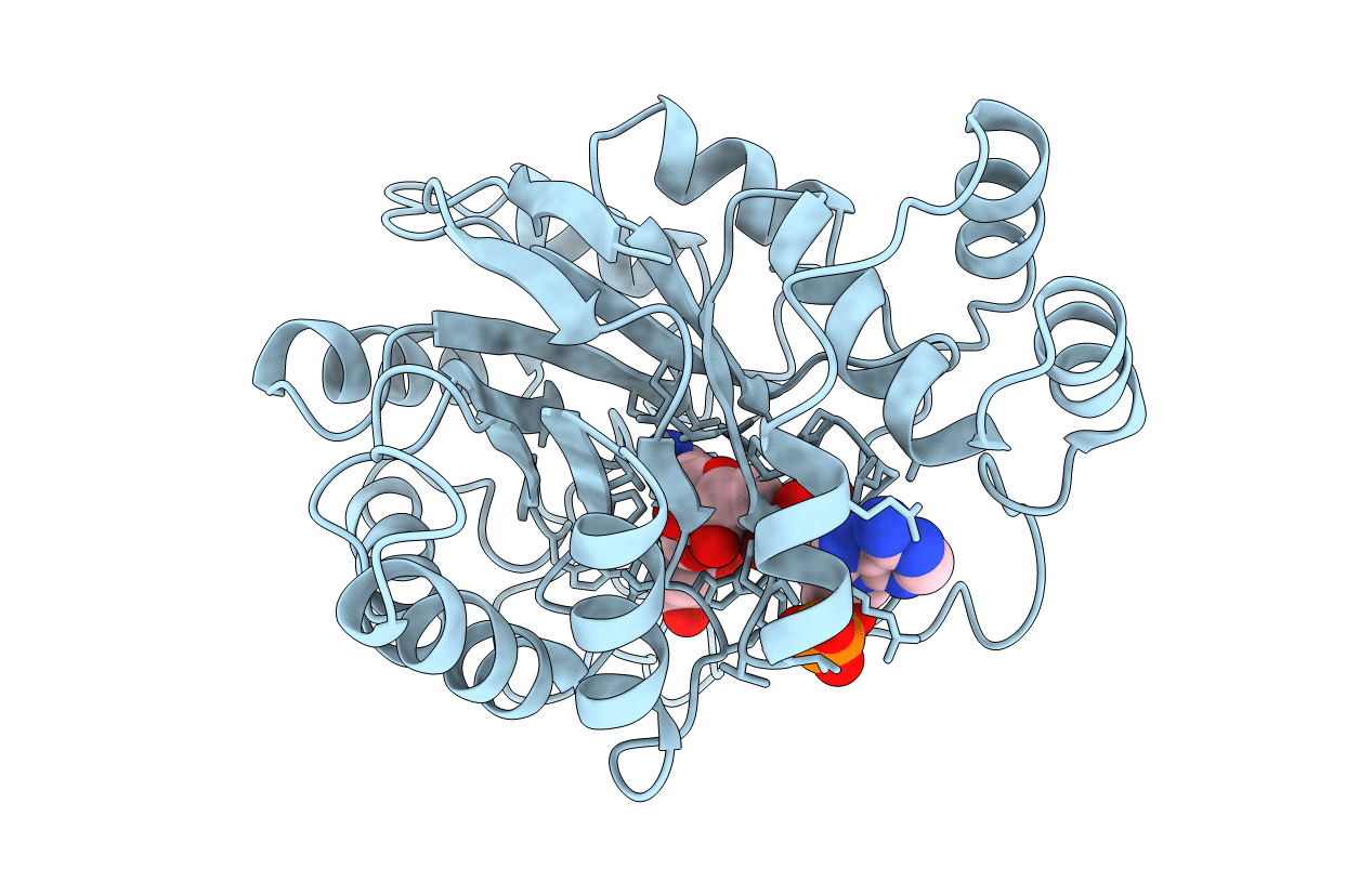 2ACS image