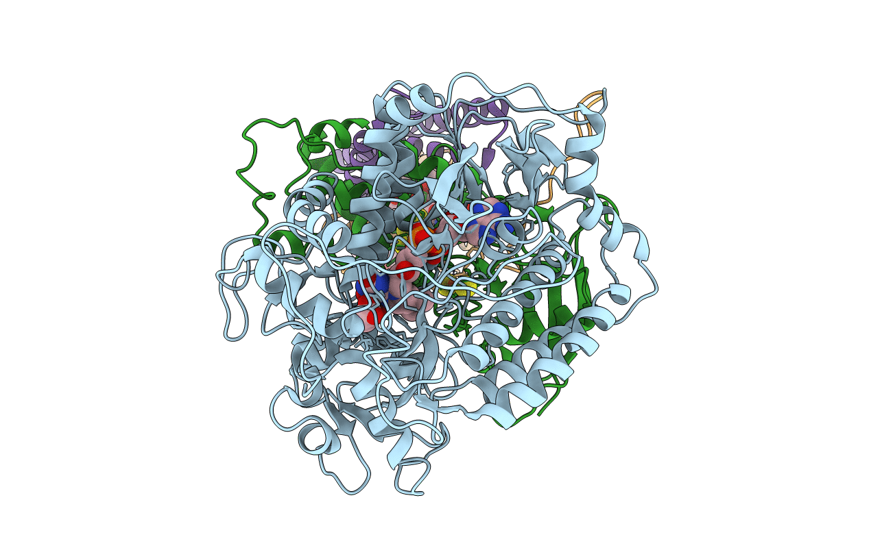 2ACZ image