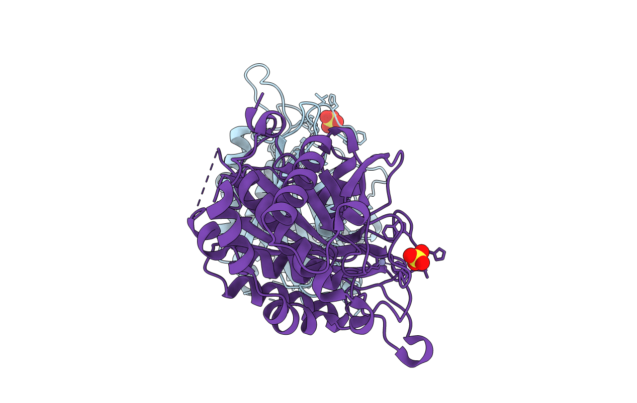 2AFM image