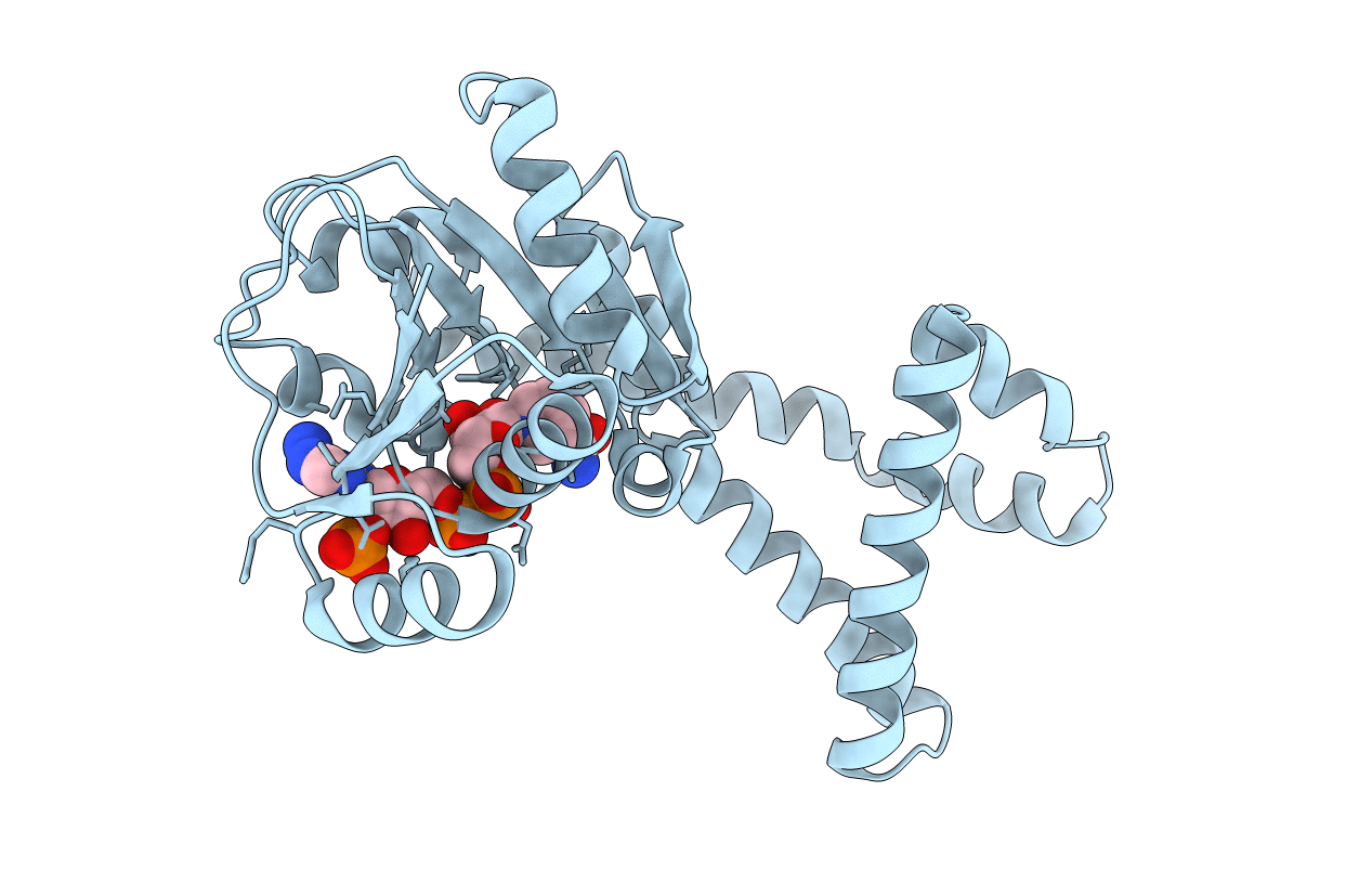 2AG8 image