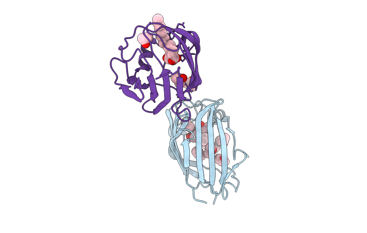 2AG9 image