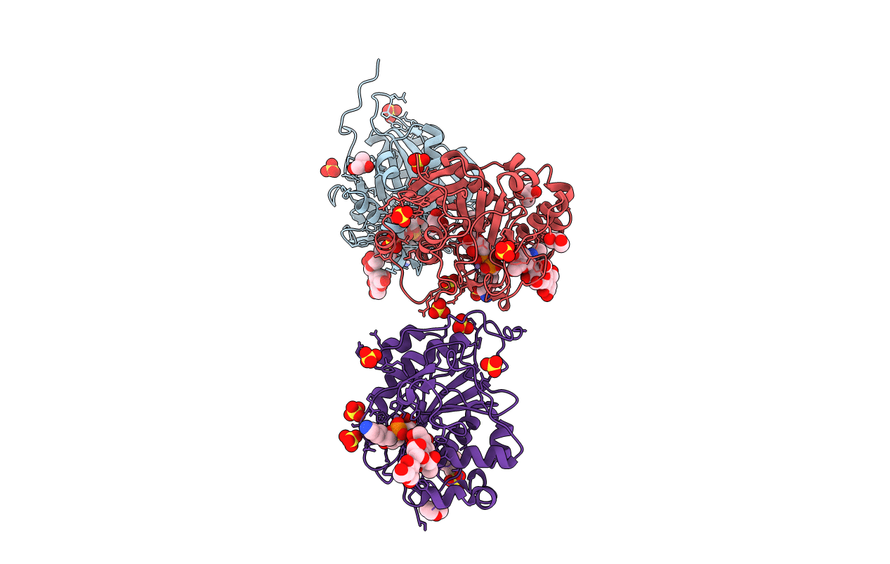 2AGD image