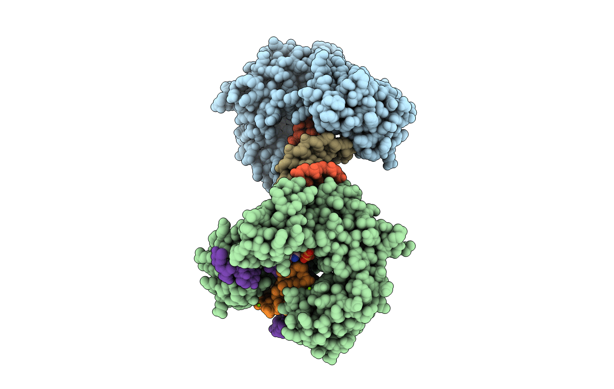 2AGP image