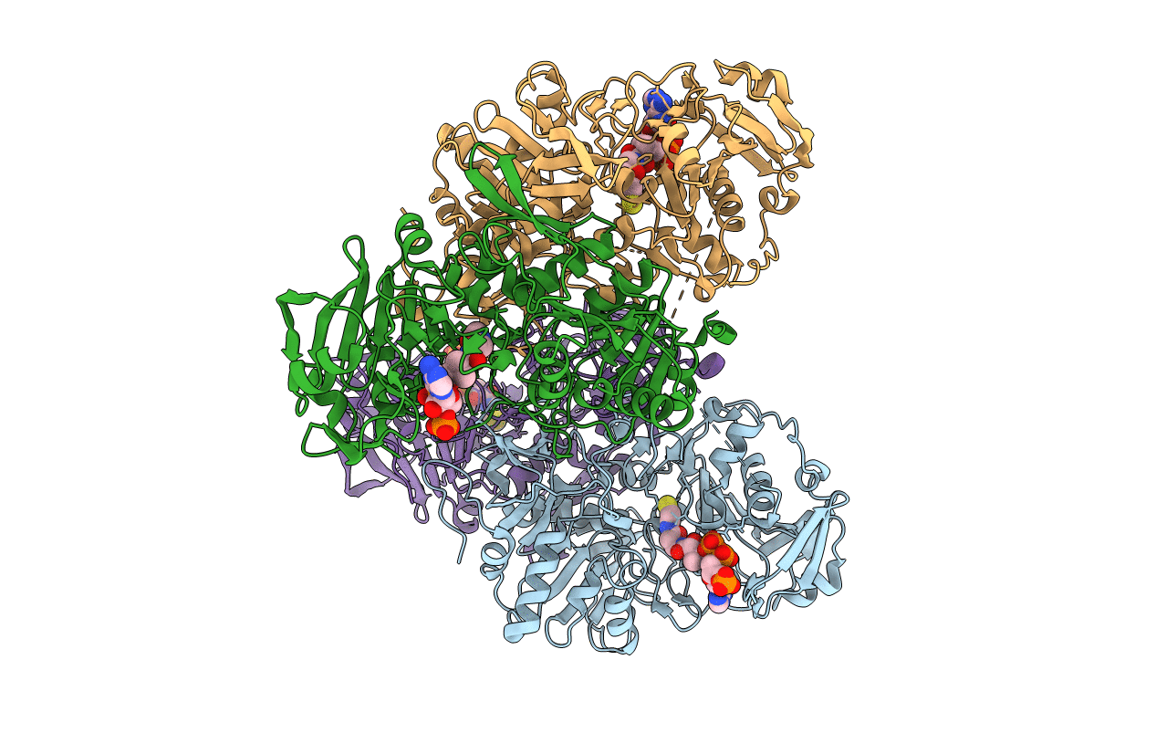 2AHV image