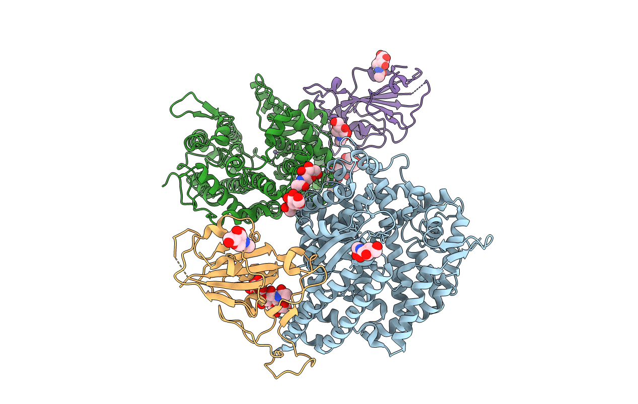2ajf image