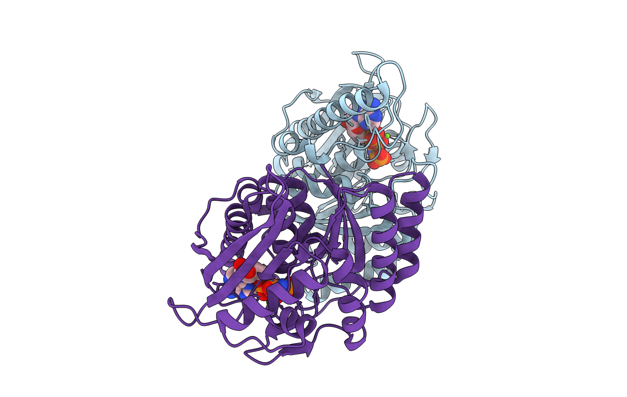 2AJP image