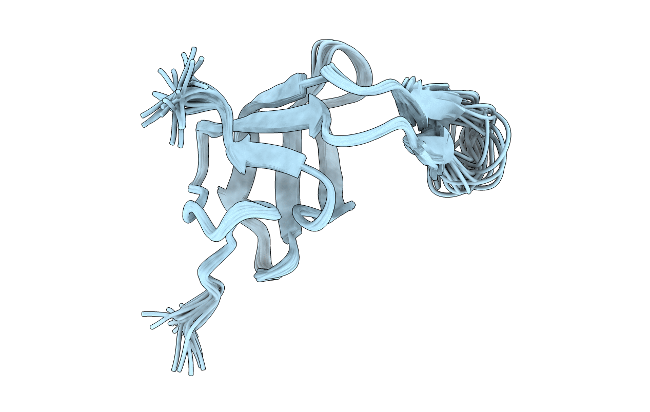 2AKK image