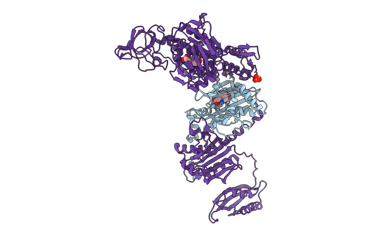 2AMC image