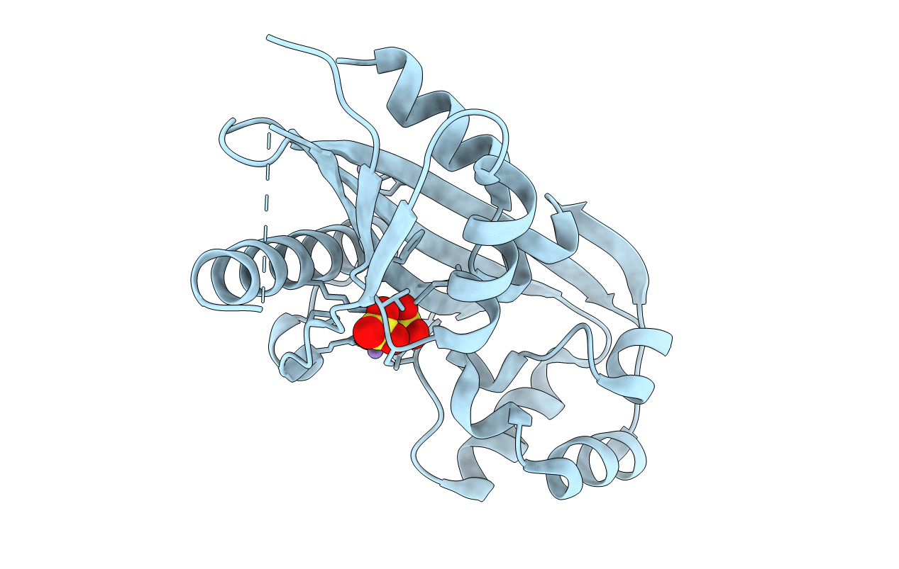 2AMH image