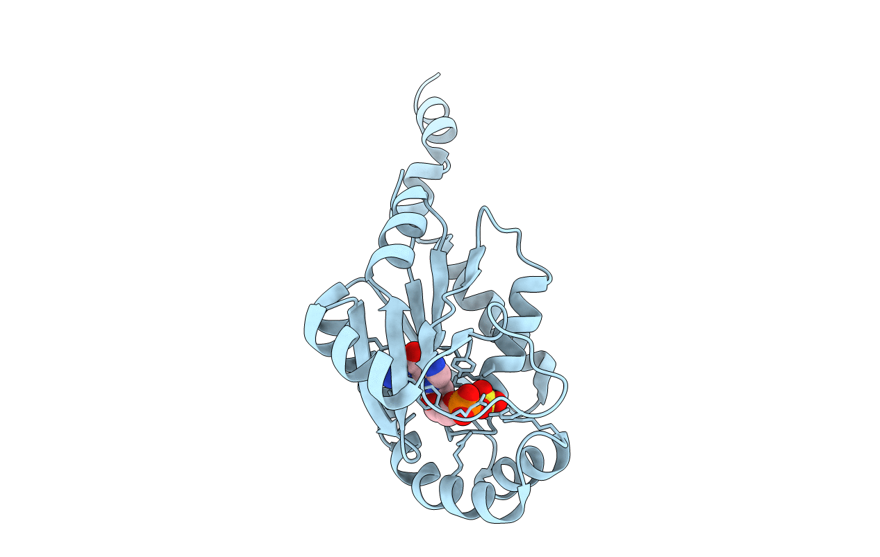 2ANB image