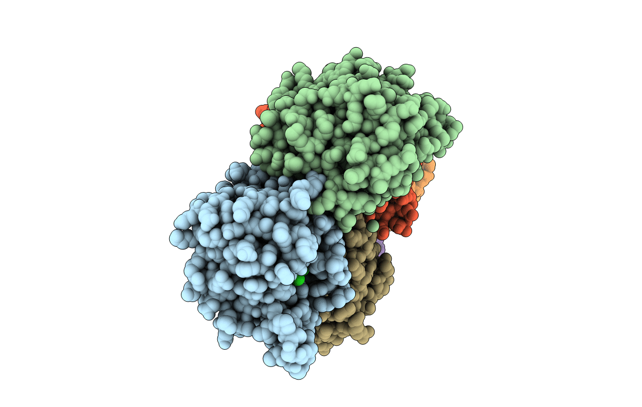 2ANU image