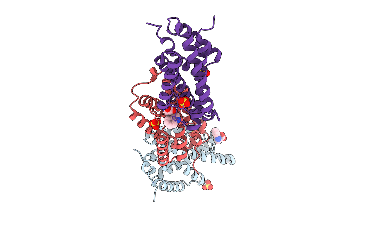 2AO2 image