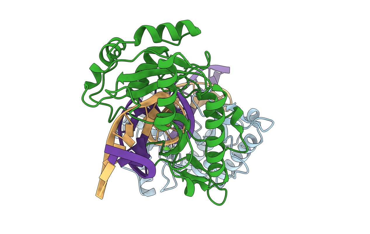 2AOR image