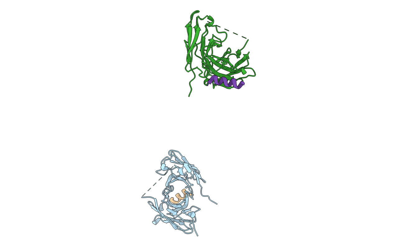 2AP2 image