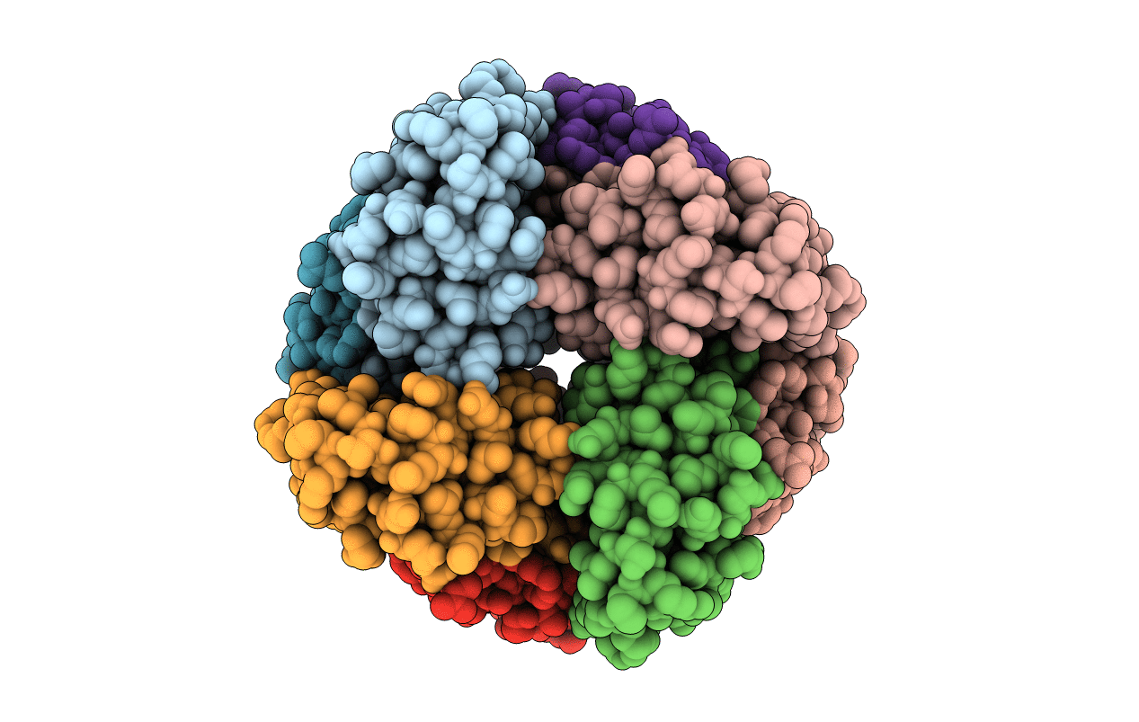 2AP6 image
