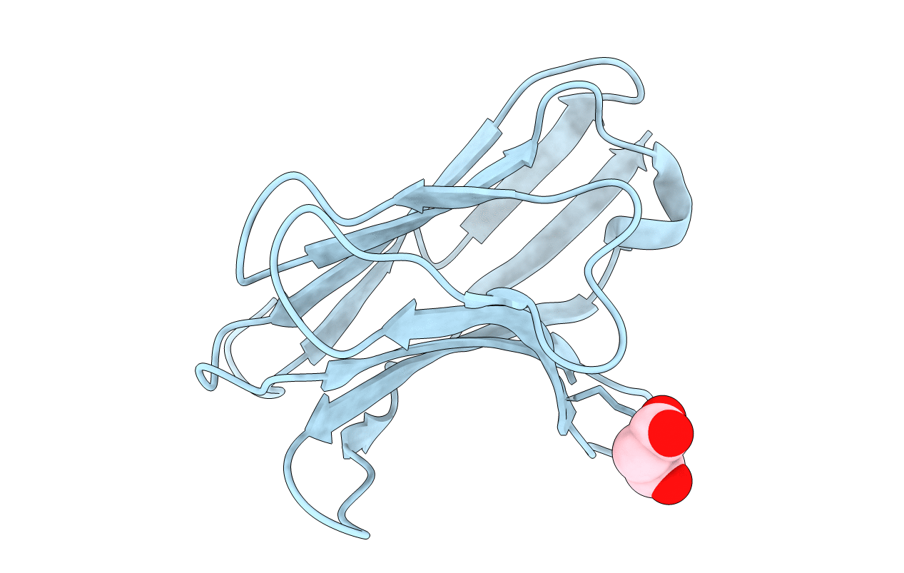 2APF image