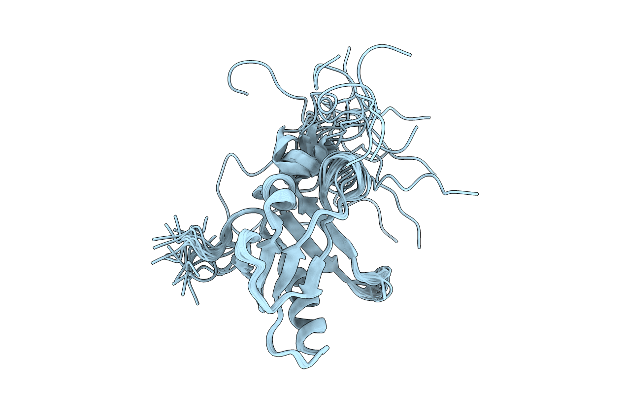 2APN image