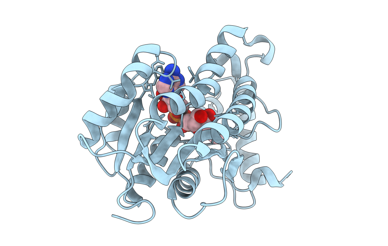 2AQH image