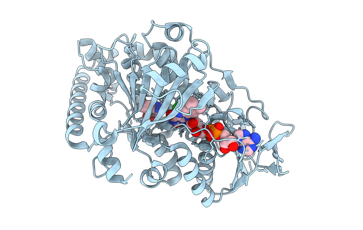 2AQJ image