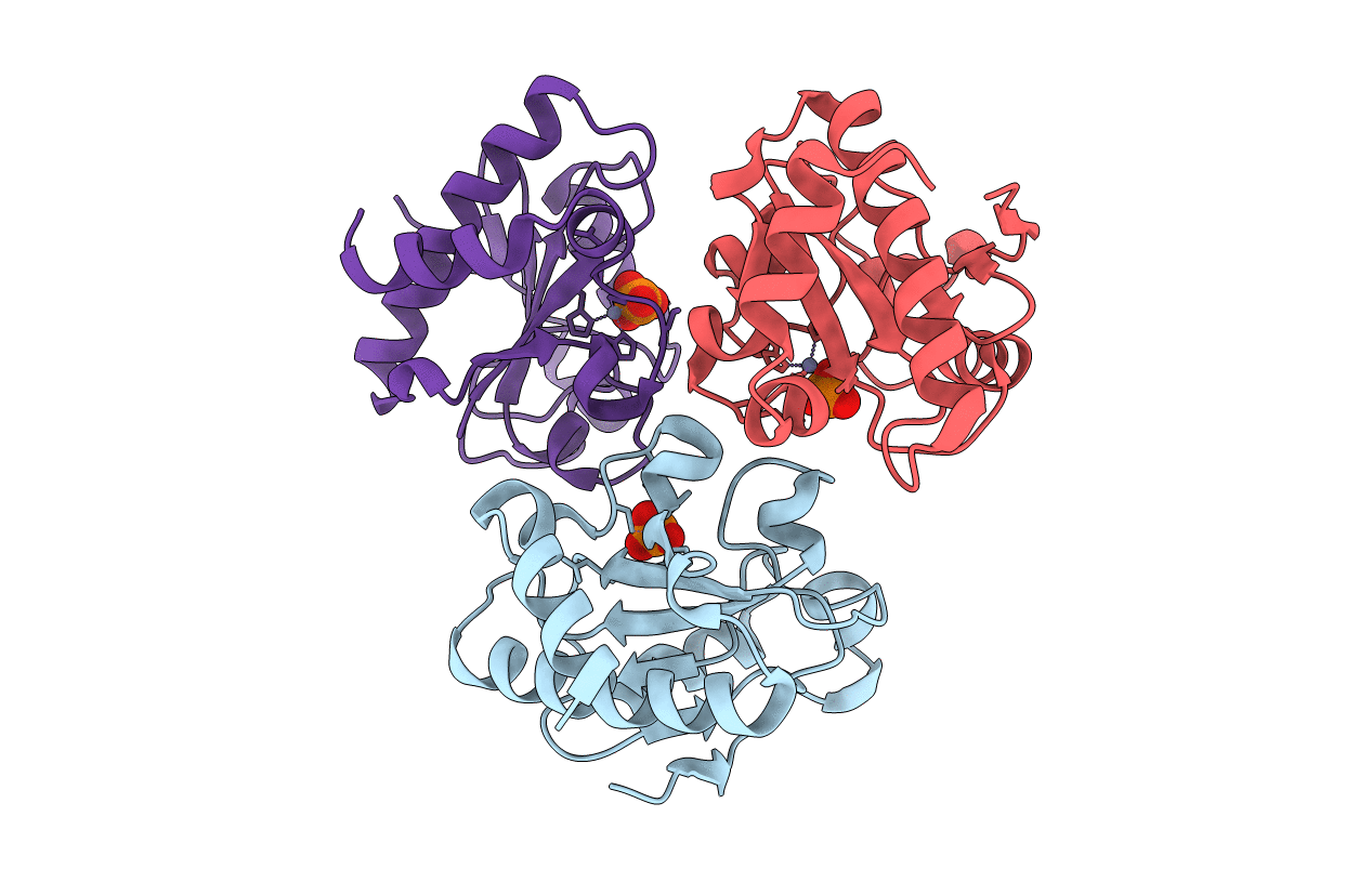 2AR3 image