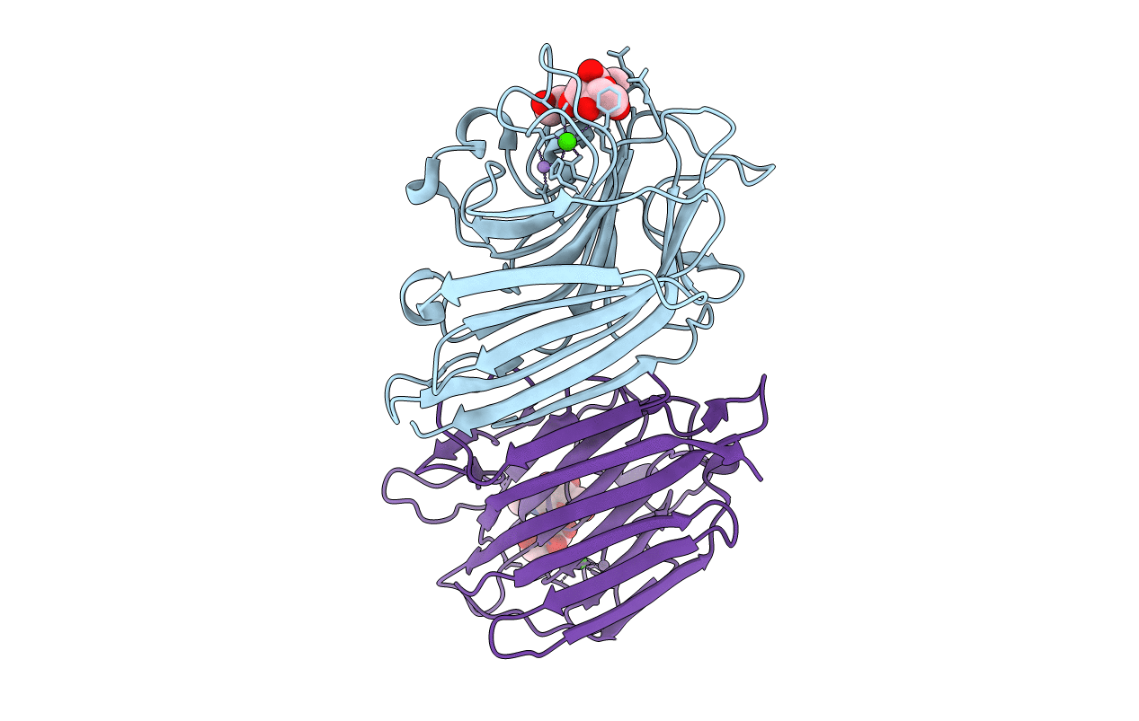 2ARB image