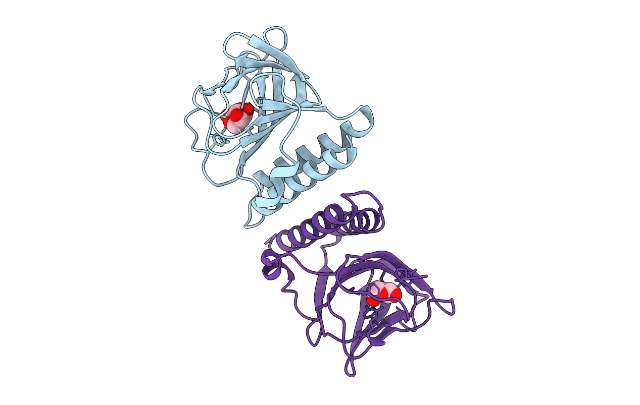 2ARC image