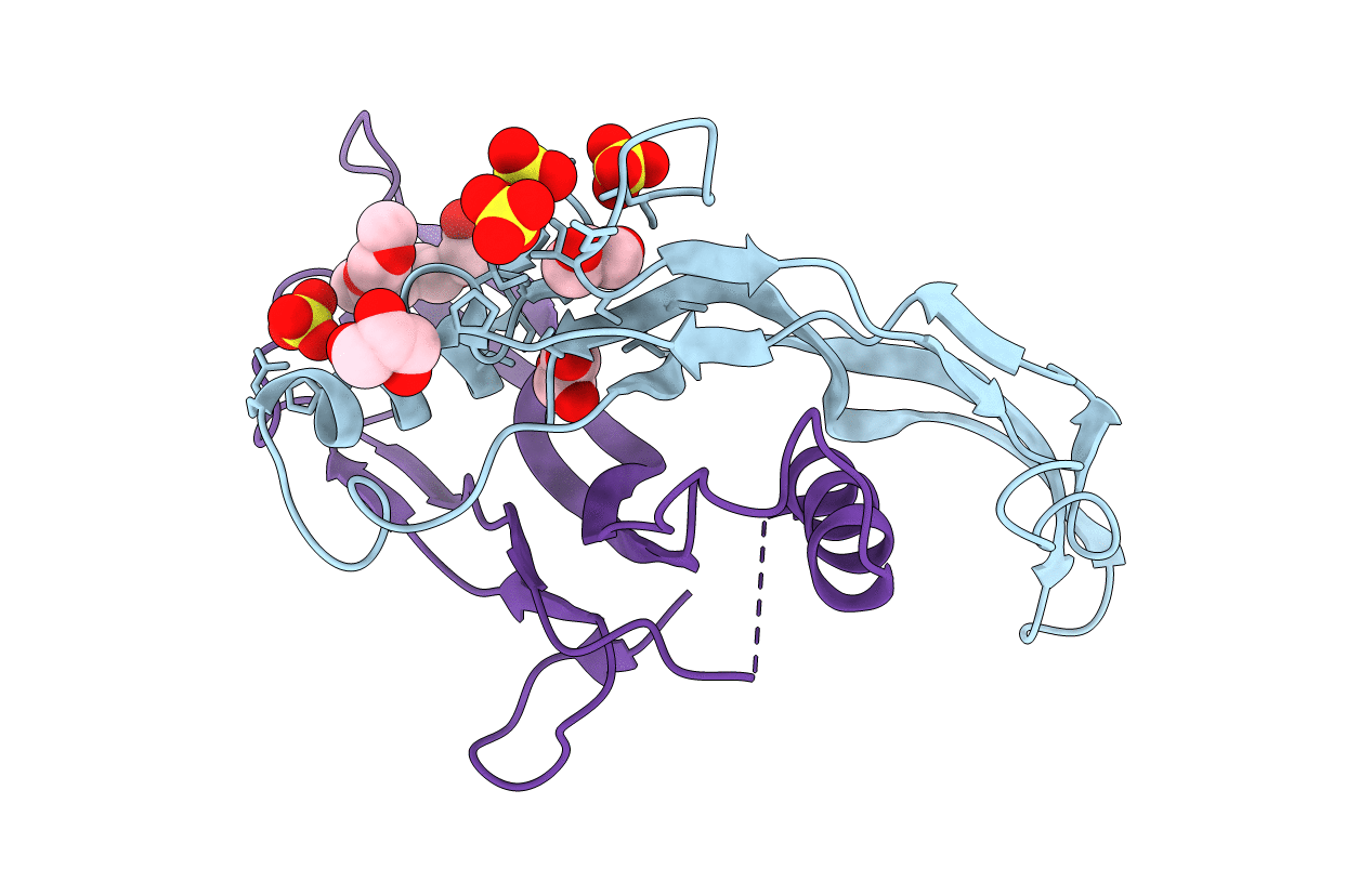 2ARV image