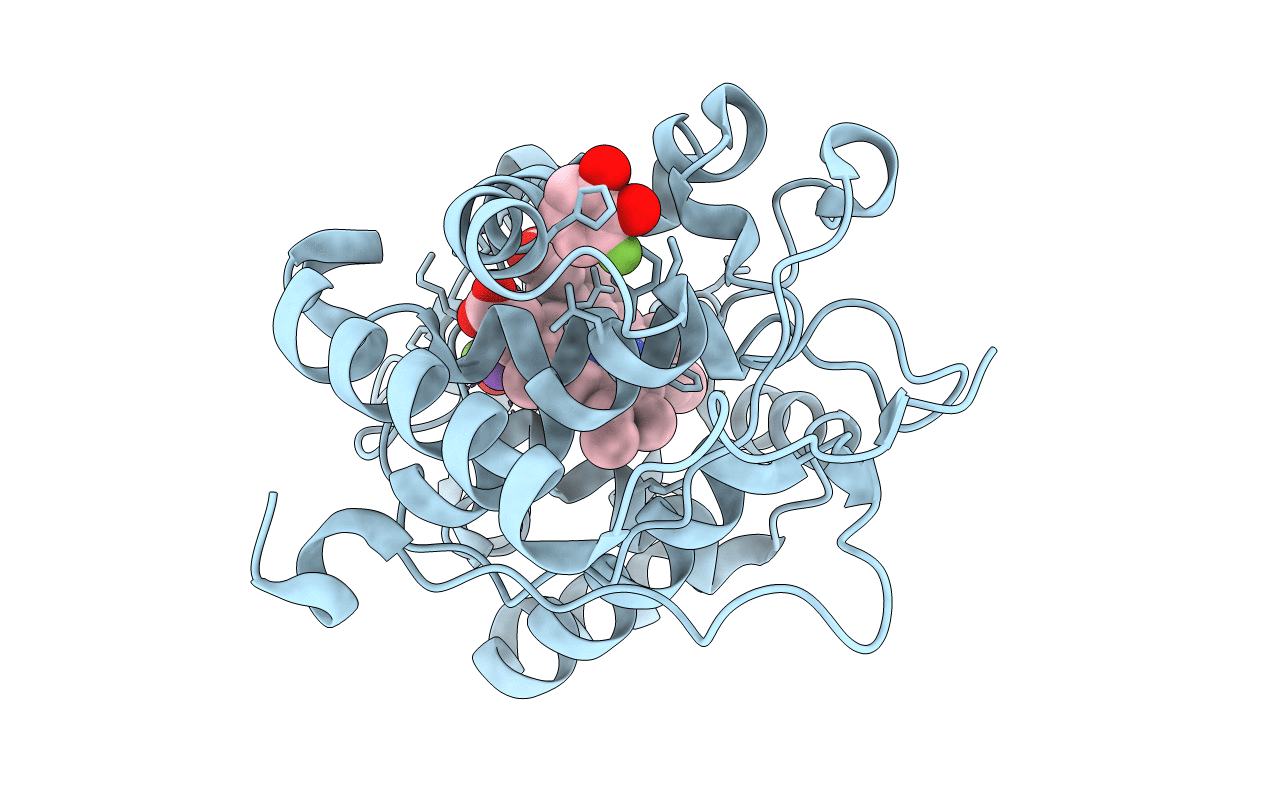 2AS4 image