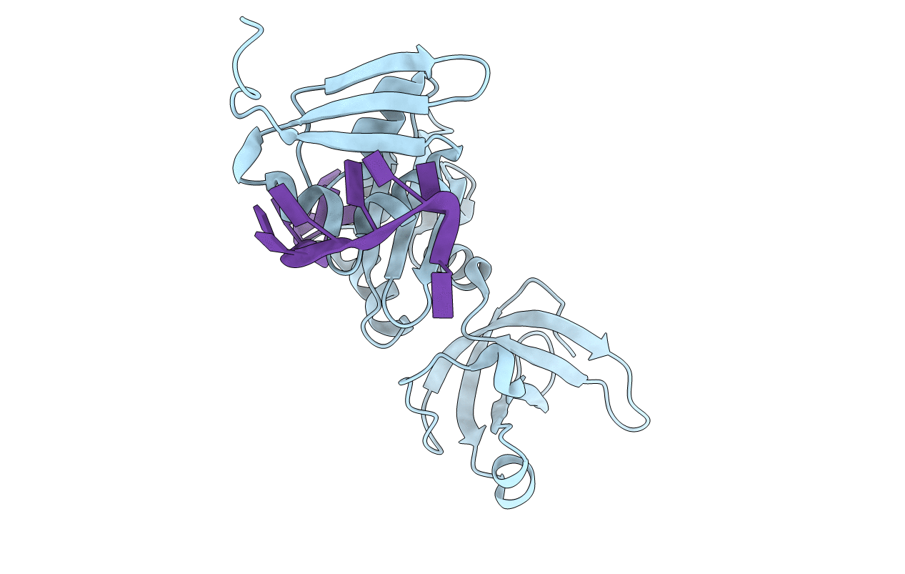 2ASB image