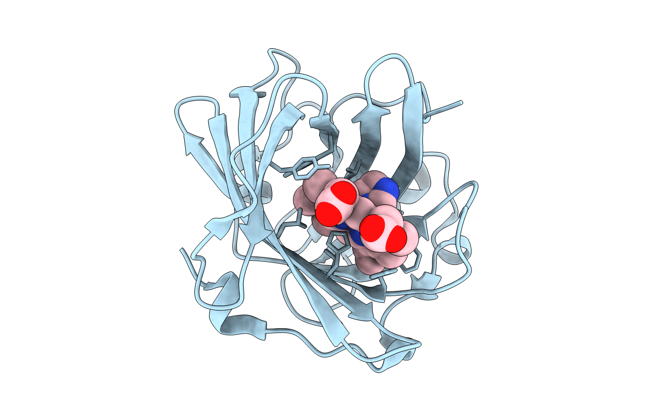 2ASN image