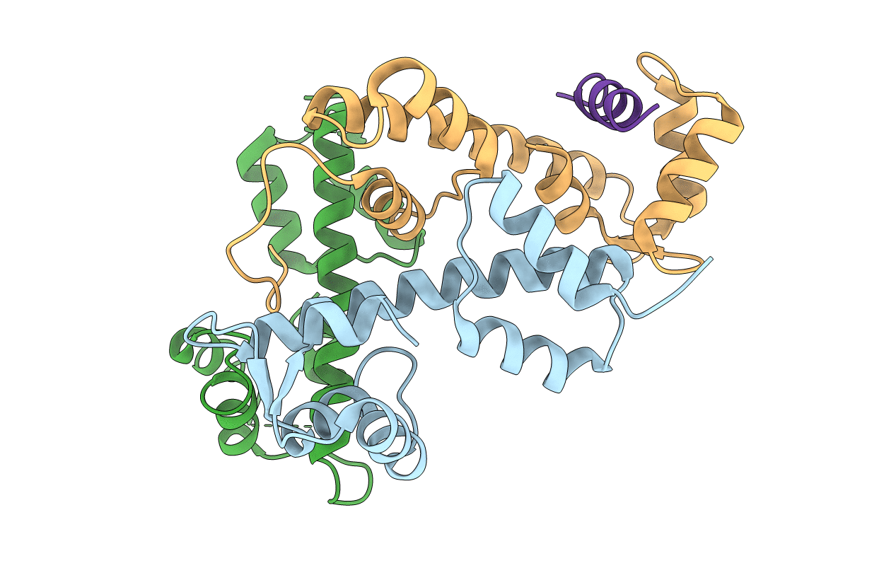 2AUC image