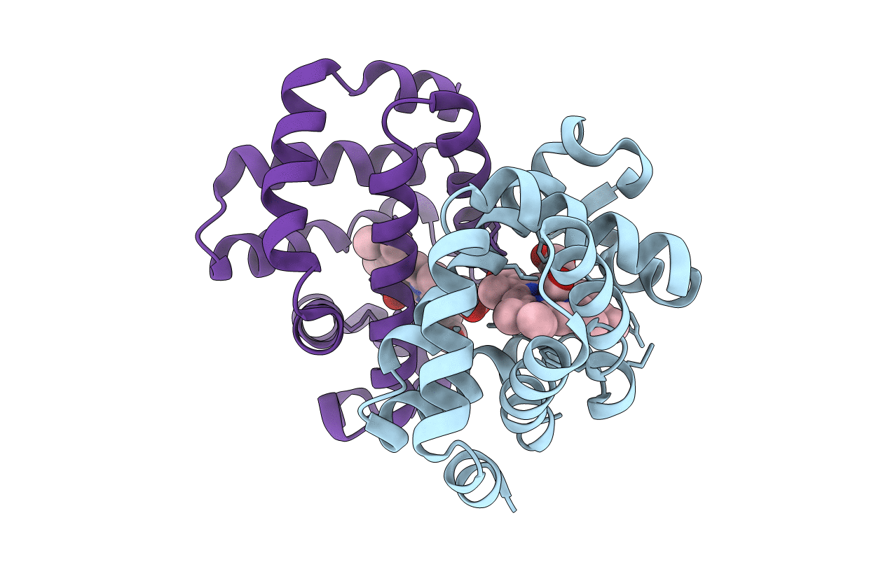 2AUO image